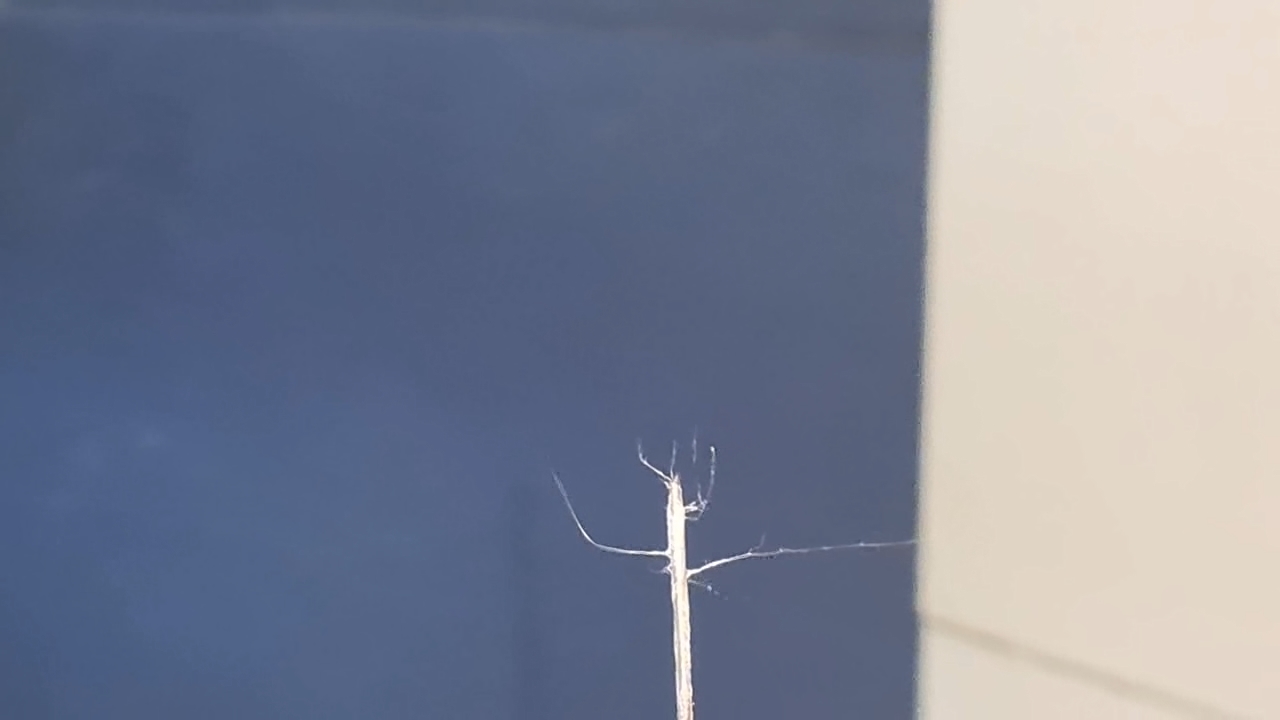 Electrospinning: Solutions of Polystyrene and Polyvinylidene Difluoride in Dimethylformamide